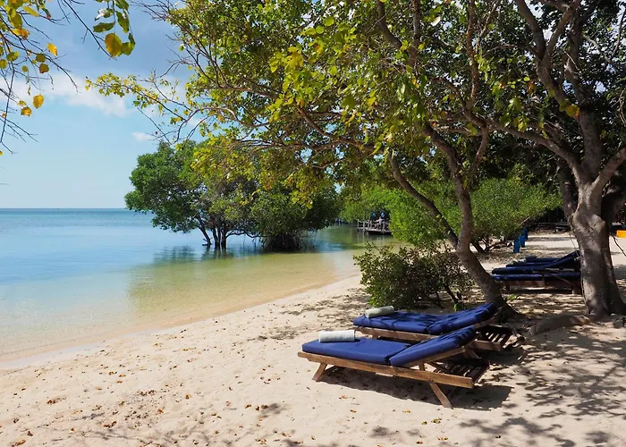 リゾート The Menjangan By Lifestyleretreats 4*